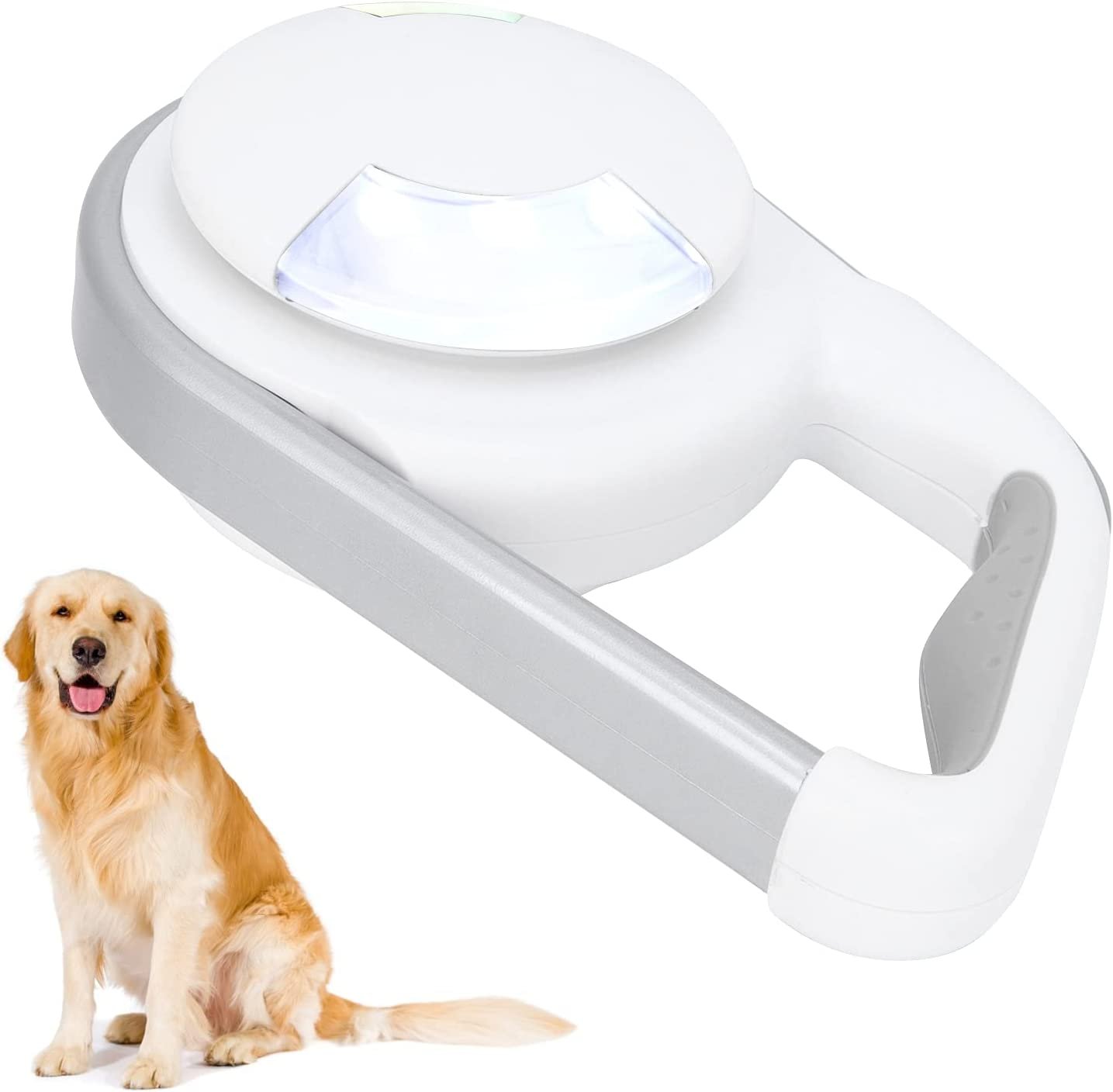 51cN965jWIS._AC_SL1500_