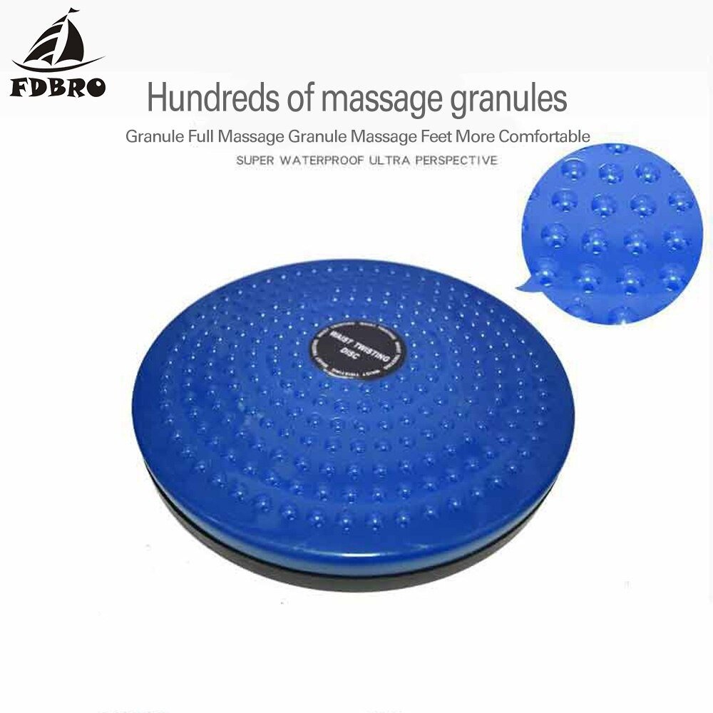 dbro-twister-plate-exercise-gear-plasti_description-19