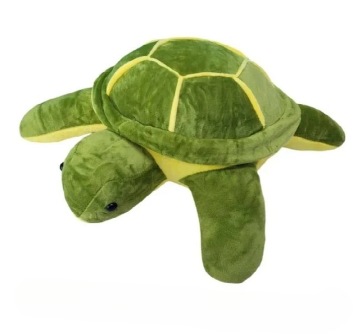 md33oi-turtle30_cleanup.png