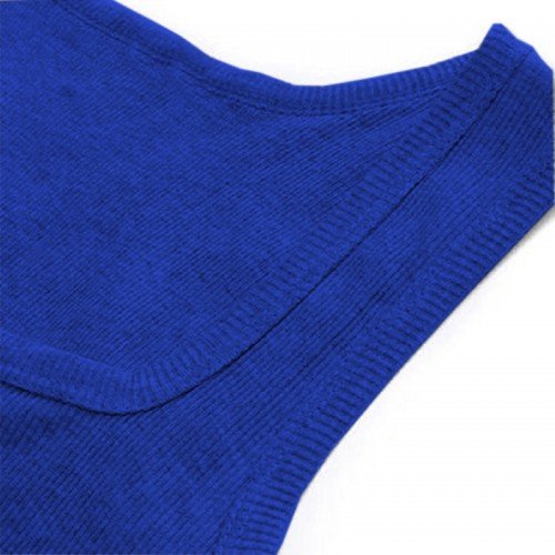 blue-hghvest-500x500-1-1.jpg